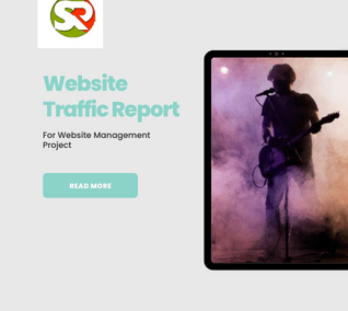 Web Traffic Report for Website Management